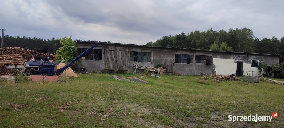 Dom Garaż hala działka sprzedam