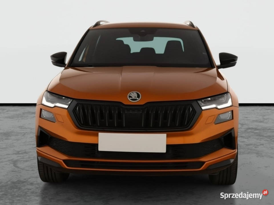 Skoda Karoq 15 TSI podgrzewane fotele Katowice