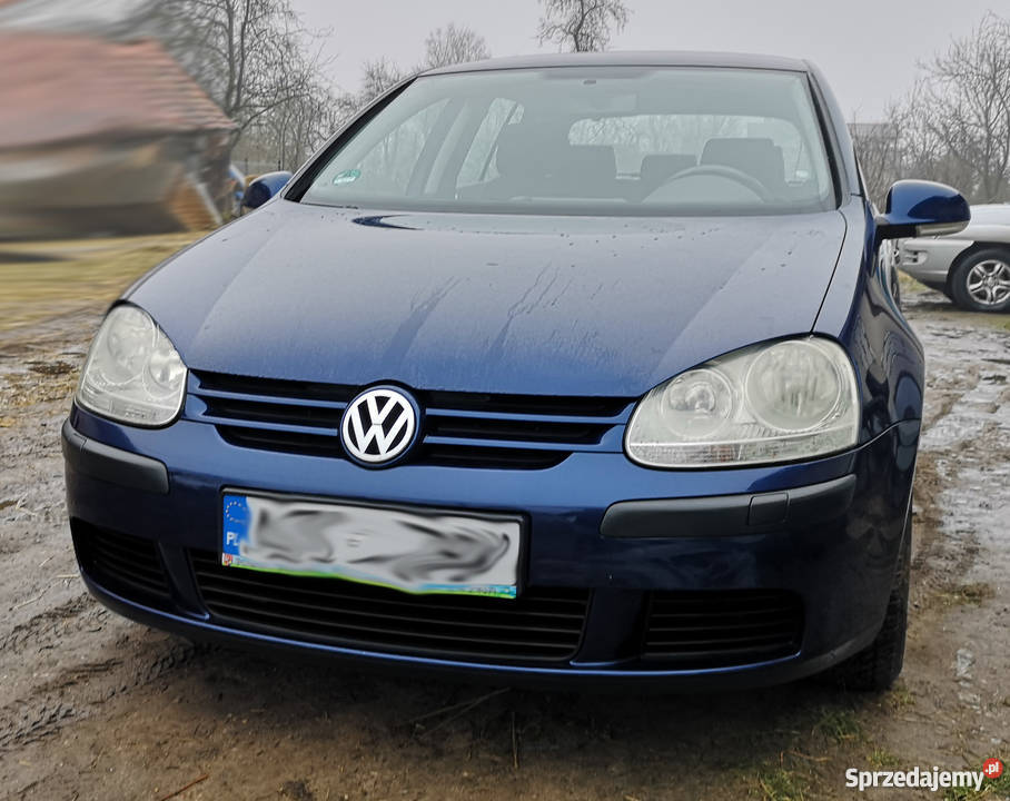 VW Golf V 1,9 TDI Diesel 2004 Lipka Sprzedajemy.pl