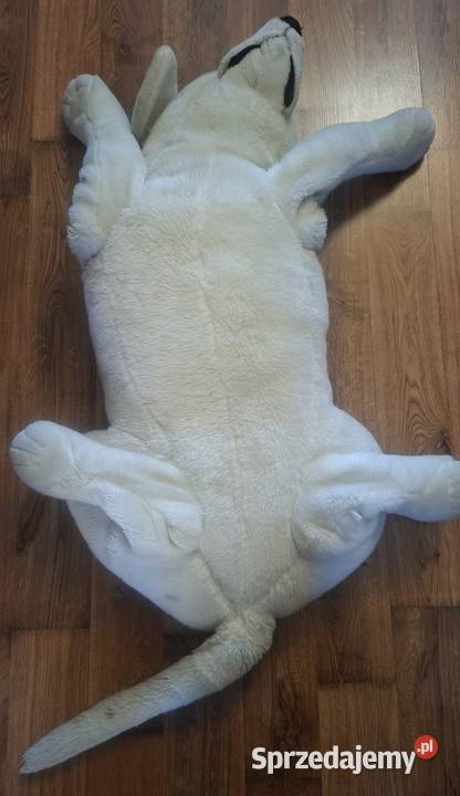 Duża maskotka pies poduszka pluszak leżący 111 Zielona Góra