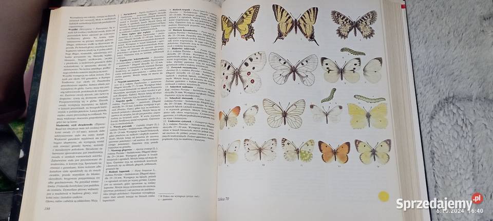 Świat Zwierząt Częstochowa