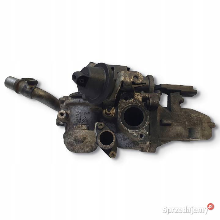 CHŁODNICA SPALIN EGR Ford Focus III MK3 16 TDCI Recyrkulacja spalin EGR Chełm