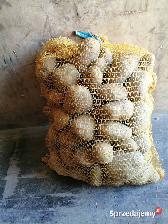 ziemniaki jadalne Sochaczew sprzedam