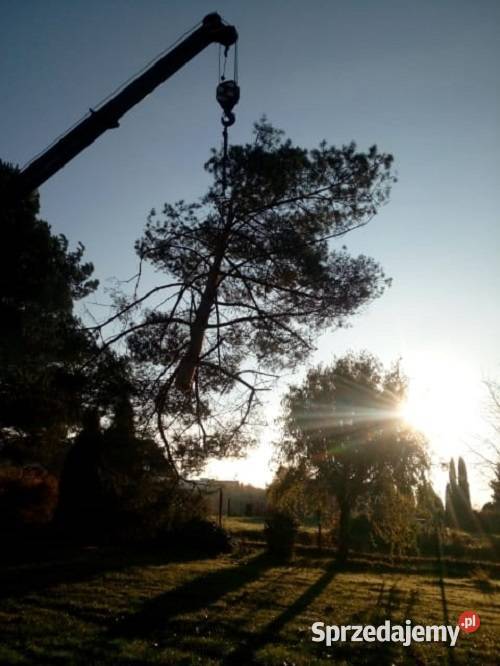 Opróżnianie mieszkań Wywóz śmieci złomu itp