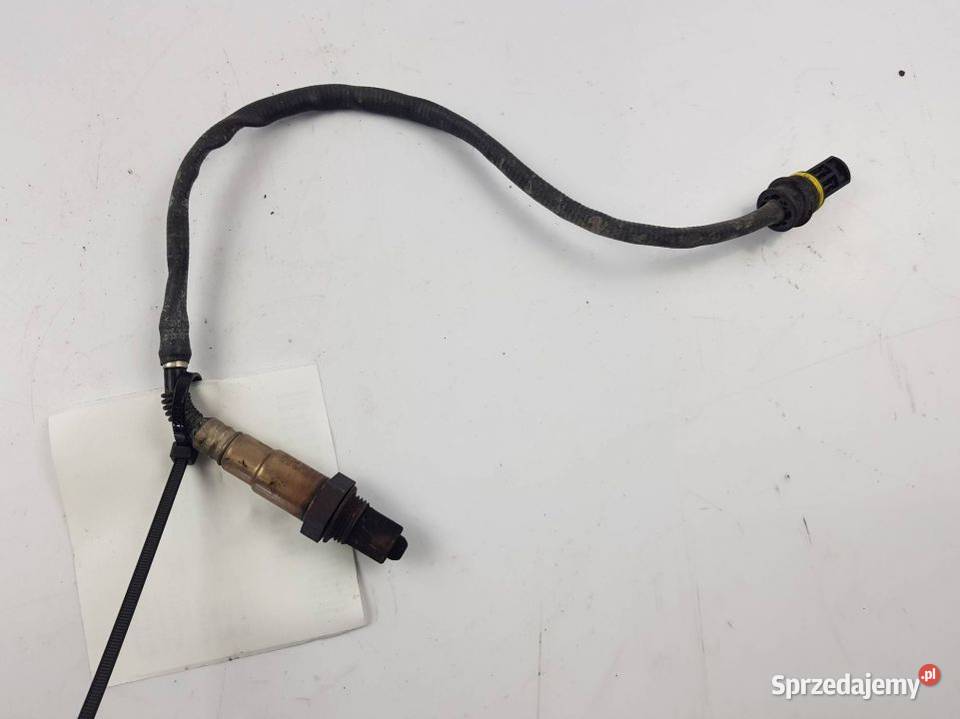 SONDA 0015405117 SL 350