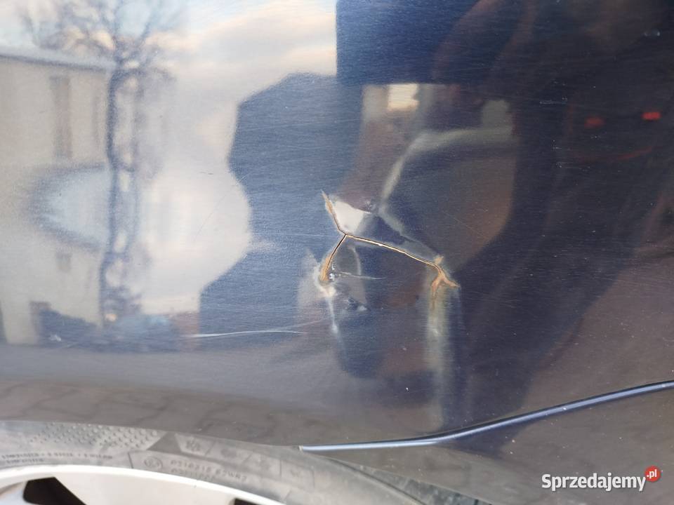 BMW e60 BMW Radzyń Chełmiński