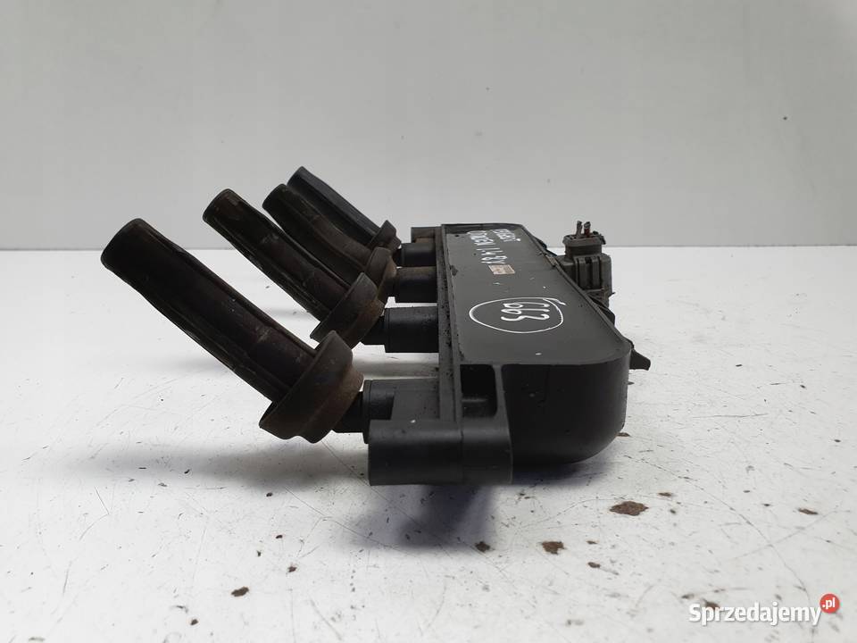 CEWKA ZAPŁONOWA Citroen Peugeot 206 14 8V lubelskie Rudka