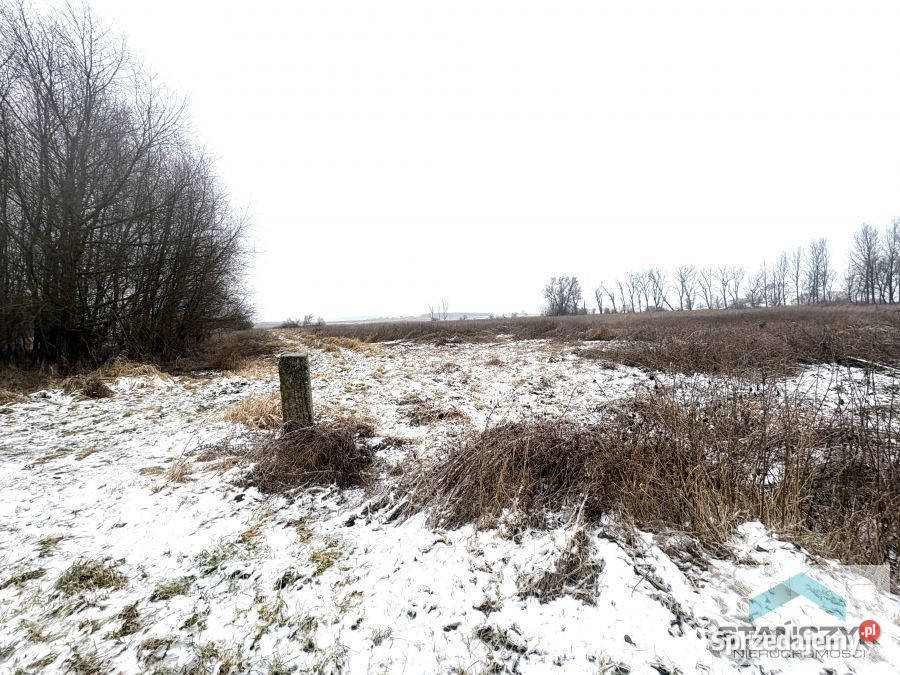 Działka 7700m2 Wolin Sprzedaż