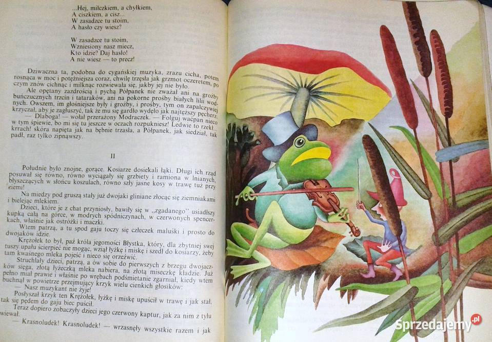 O krasnoludkach i o sierotce Marysi Maria lubelskie Chełm