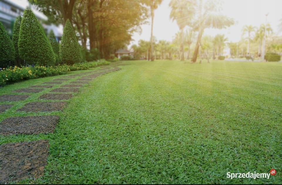 Koszenie usługi ogrodnicze