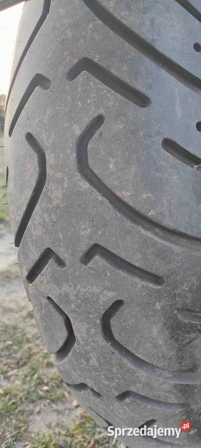 Honda VF 750 C przygotowana do sezonu V4 82 Kurzętnik