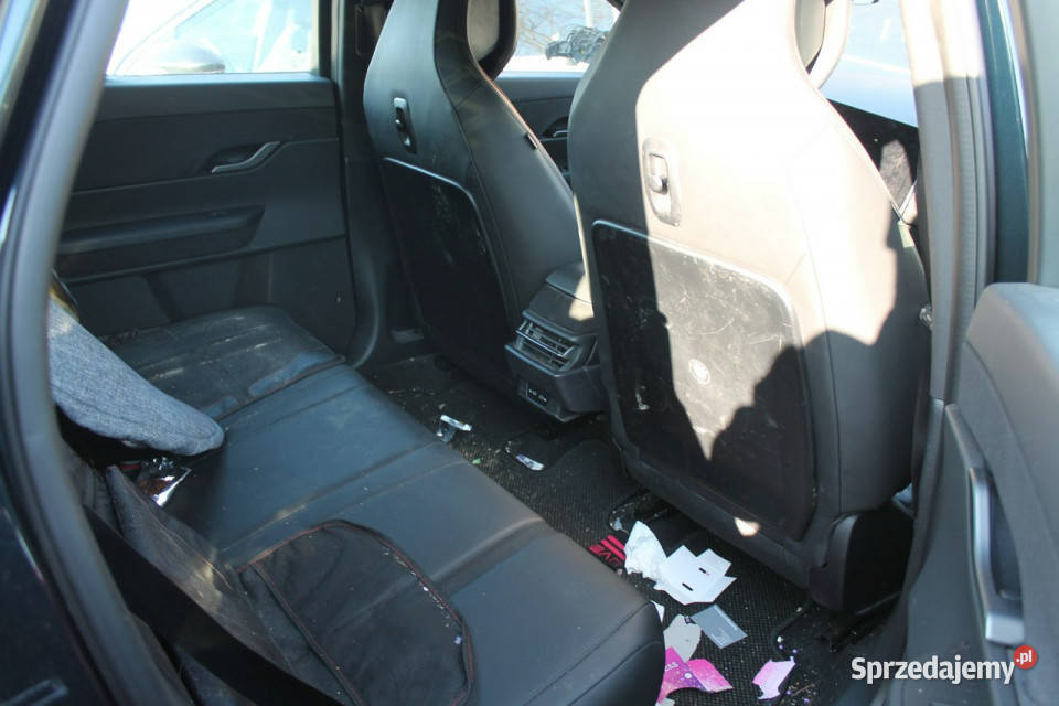 Fisker Inny wielkopolskie