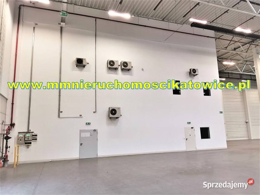 Powierzchnie magazynowe do wynajęcia do 10000 m2 winda Sosnowiec