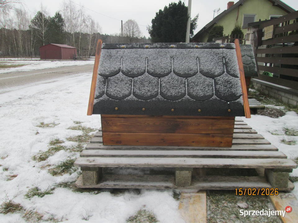 buda średniego psa Zwierzęta Budy Zaklasztorne