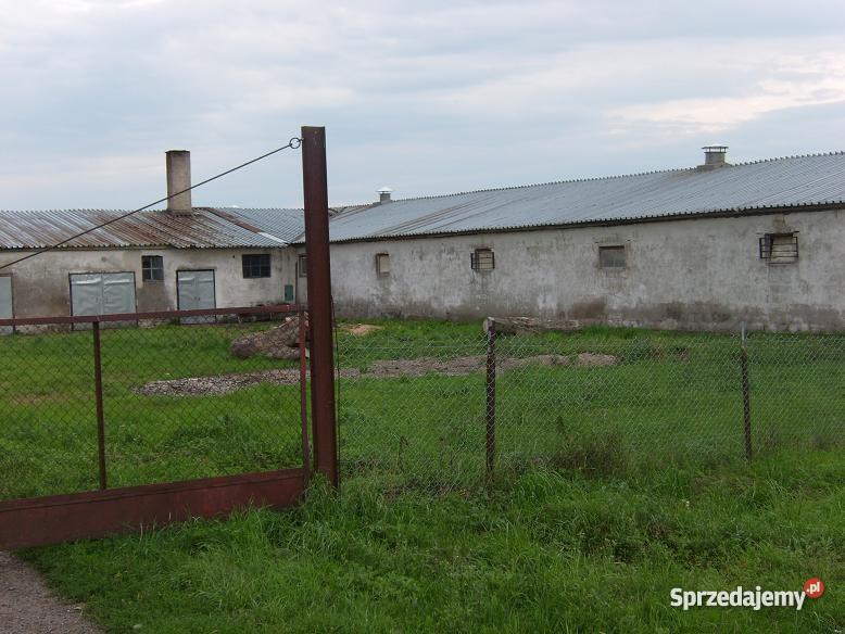ferma drobiu kurnik kurniki hala produkcyjna Sławno