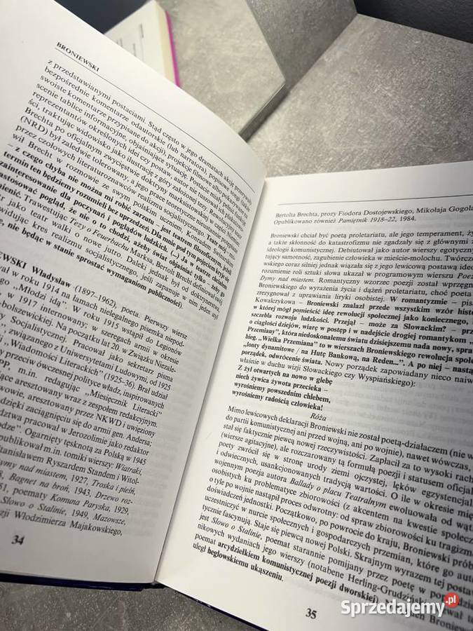 Słownik pisarzy i lektur szkół średnich Delta twarda Książki i Podręczniki podkarpackie