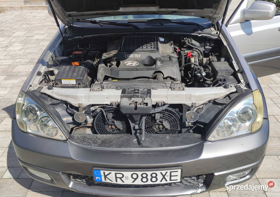Hyundai Terracan podkarpackie