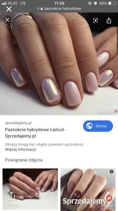 Kotka Brytyjska Luna Warszawa sprzedam