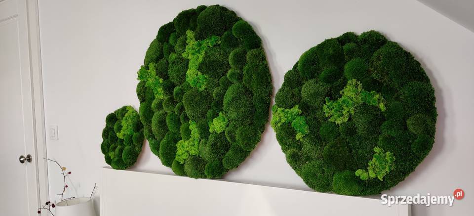 Trzy okrągłe obrazy śr 705030 ogród wertykalny Kraków