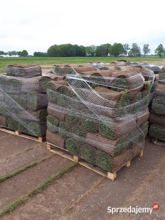 Trawa z rolki z siatką na Kreta polski producent