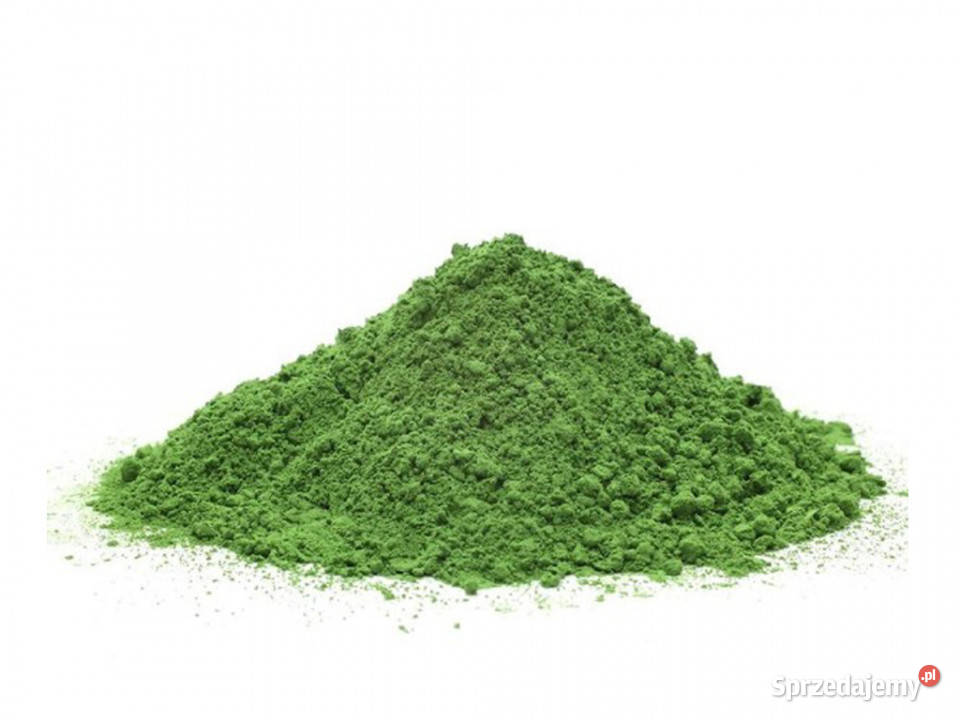 Chlorella proszek 100g podkarpackie