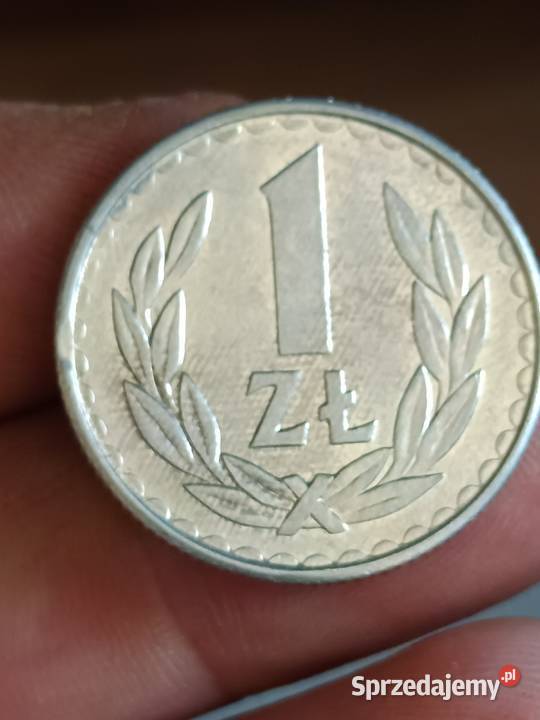 Sprzedam monete 1 zloty 1986 r odkroj blachy ttt Chełm