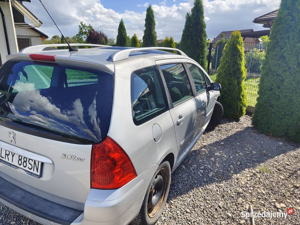 Peugeot 307 Rok produkcji 2005 lubelskie Nowodwór