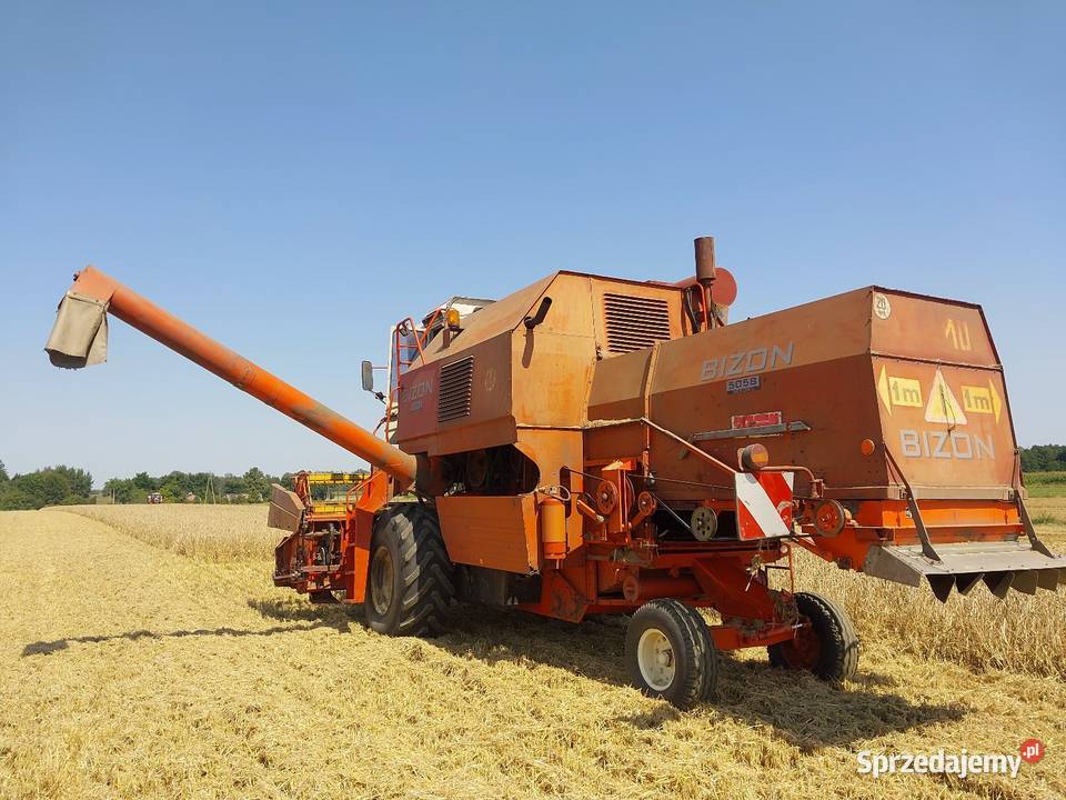 Bizon rekord czeski export Piotrków Trybunalski