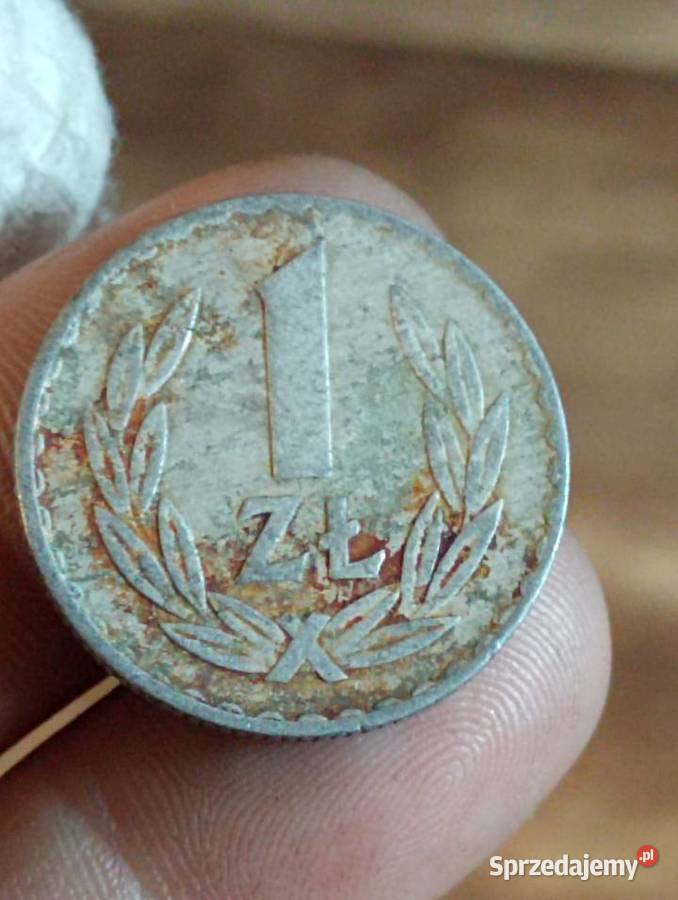Sprzedam monete 1 zl 1973 r zzm Chełm