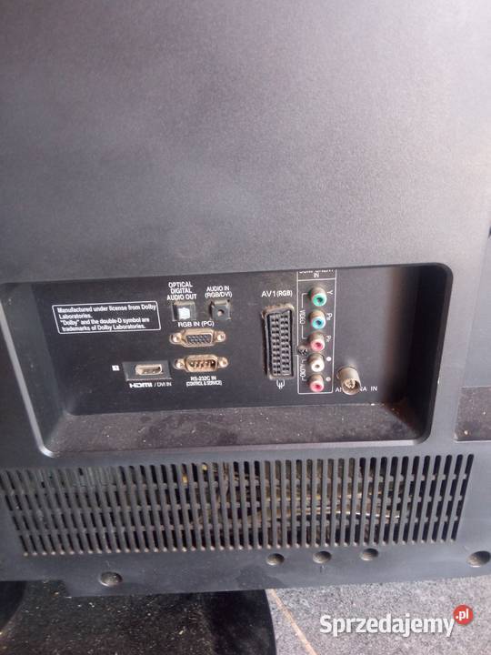 Telewizor Szczenurze