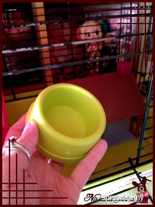 Karo klatka z wyposażeniem myszki 35x24x36 Ruda Śląska