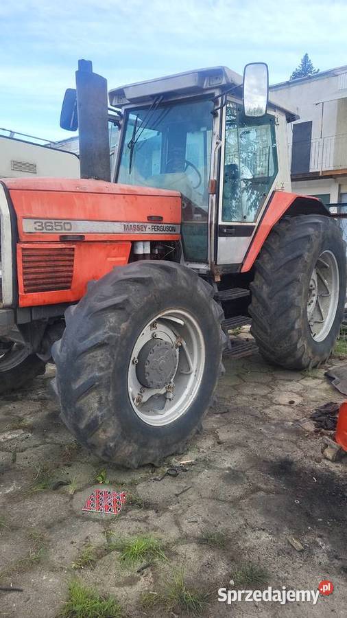 Massey Ferguson 3650 Radzyń Podlaski