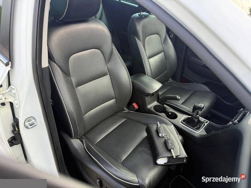 Kia Sportage 17 CRDI 2WD DreamTeam Edition 115 Sportage Krotoszyn