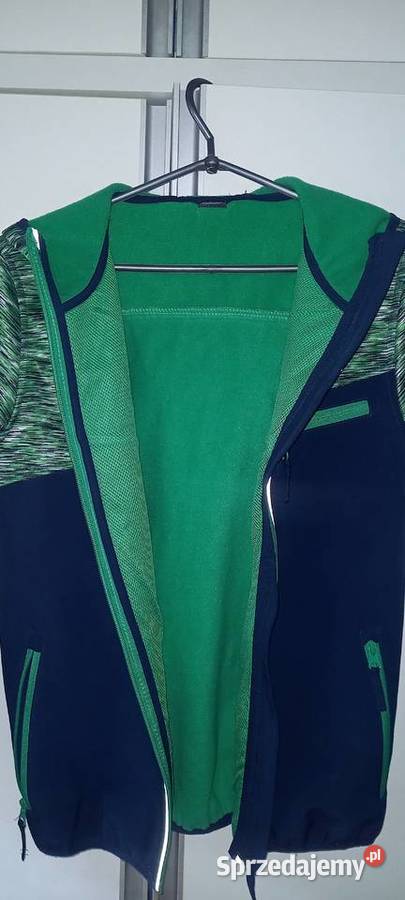 Bluza chłopięca z kapturem r146152 10 lat+ Bluzy Małkinia Górna
