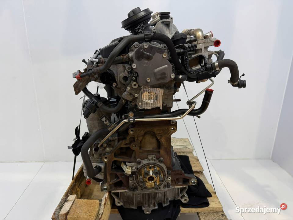 SILNIK BXE VW Audi A3 II 8P Skoda Octavia Superb osobowe Chełm