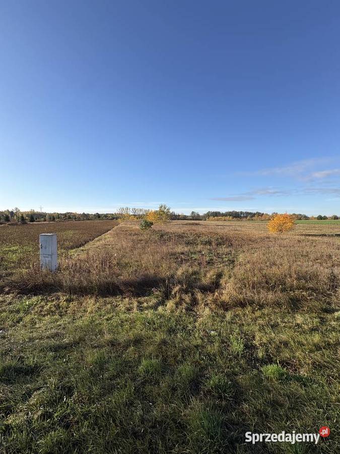 Syndyk sprzeda Sworzyce