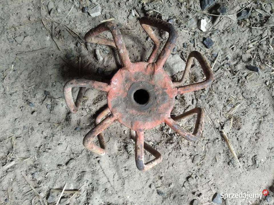 Siewnika Gamma buraków zgarniacz gwiazdowy lubelskie Bychawa