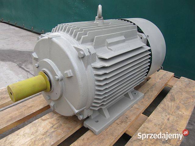 Silnik elektryczny 132 kw 1485 0br wielkopolskie Szamotuły