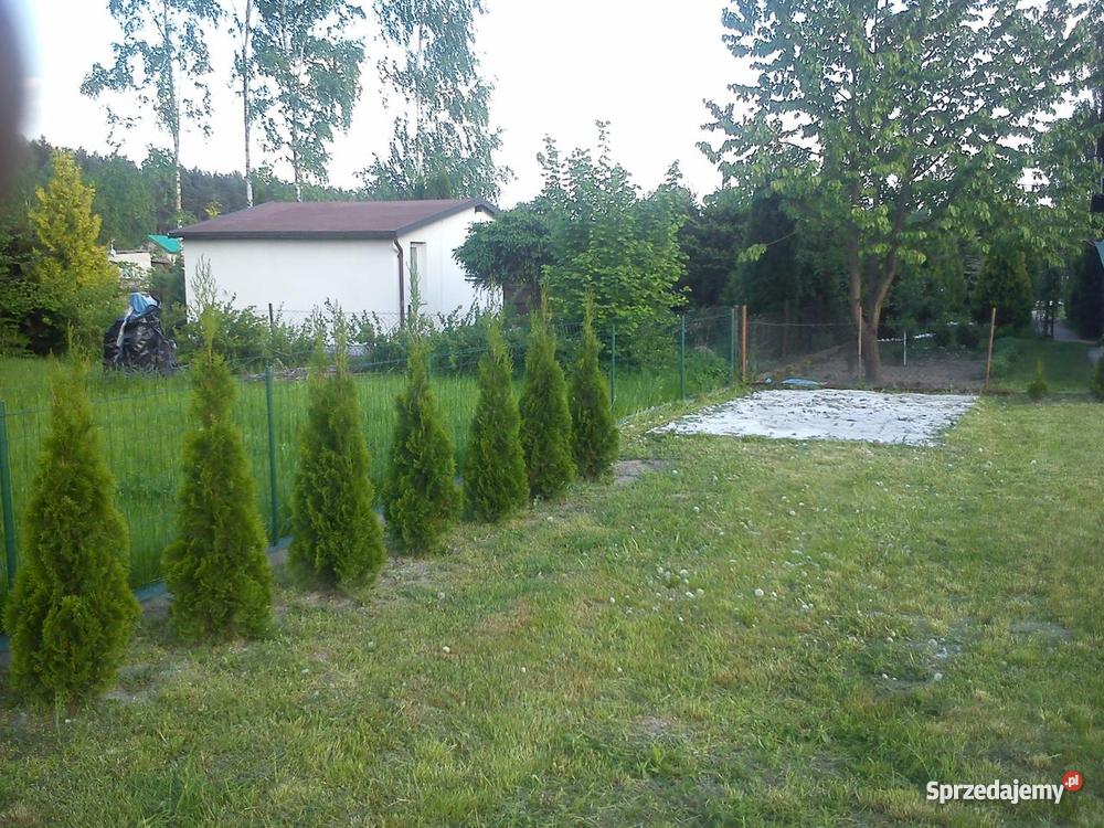 Działka rekreacyjna ROD Wudzyn Wudzyn