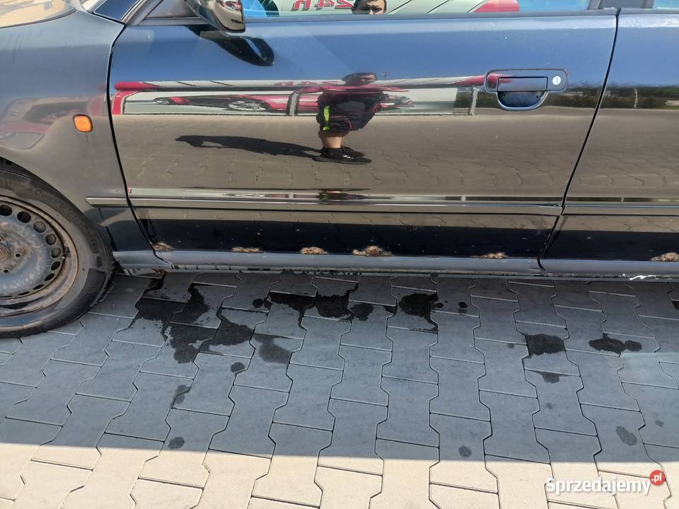 Drzwi Gołe lewy Przód LY9B Audi A4 B5 a16 osobowe Myszków