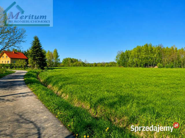 Grunt 1558m2 Zręcin podkarpackie