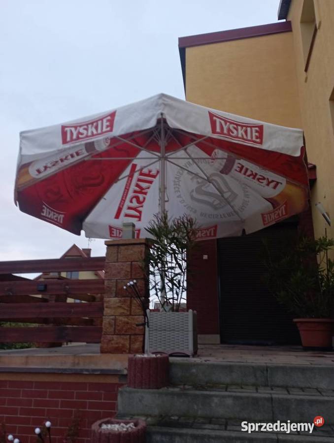 Ławy piwne
