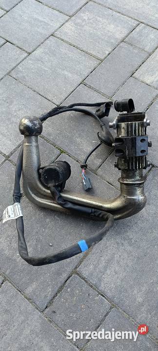 Hak Westfalia lubelskie Opole Lubelskie