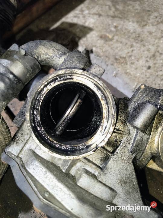 Turbosprężarka Fiat Ducato 23 130 Euro 6 dostawcze małopolskie Dłużec