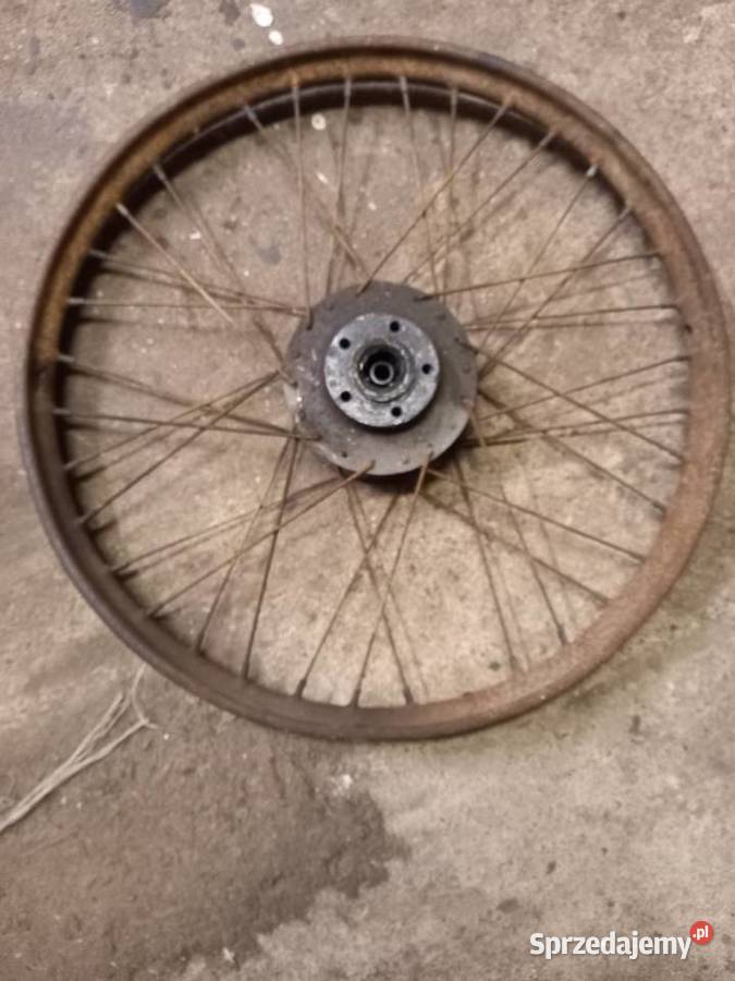 Kolo tyl zak rys Sokołów Podlaski