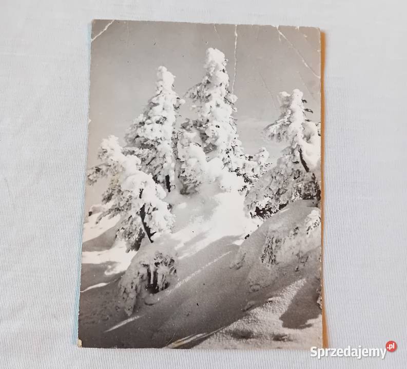Pocztówka Pejzaż zimowy PTTK 1966 r Pocztówki i karty telefoniczne wielkopolskie Koźminek