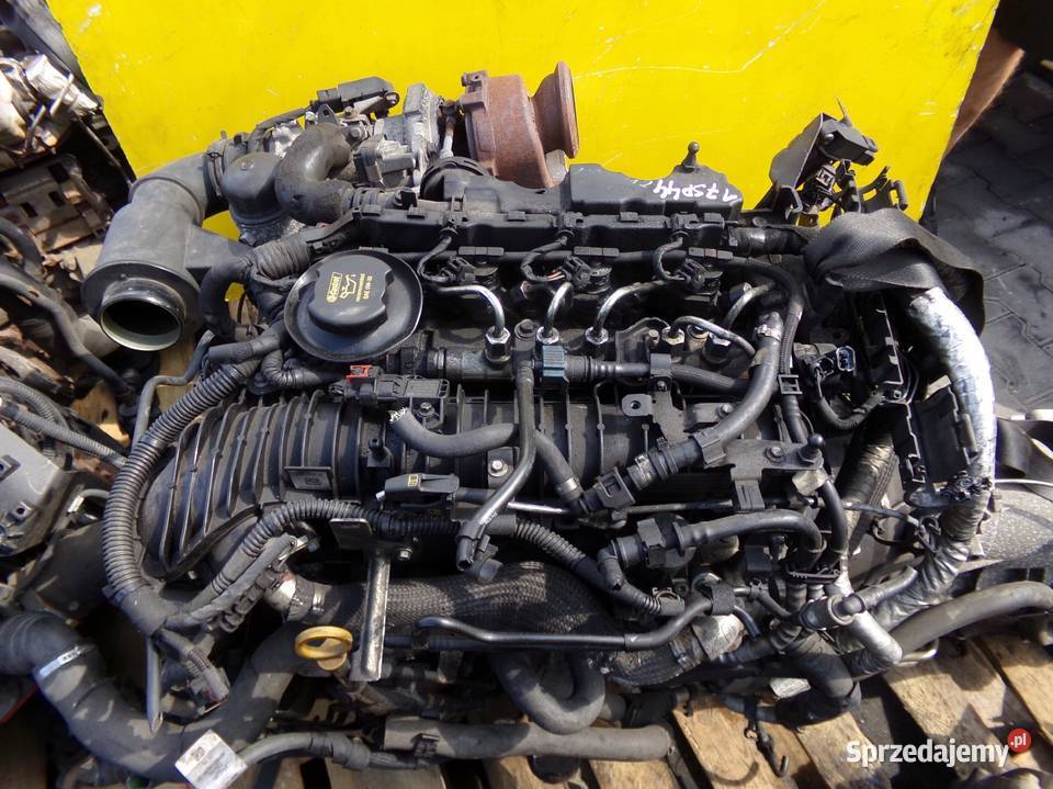 XE XF DISCOVERY 20 D 16r 180 204DTD wtrysk Suków sprzedam