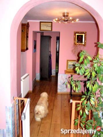 DOM Z KLIMATEM NA PIĘKNEJ DZIAŁCE OKOLICA gazowe