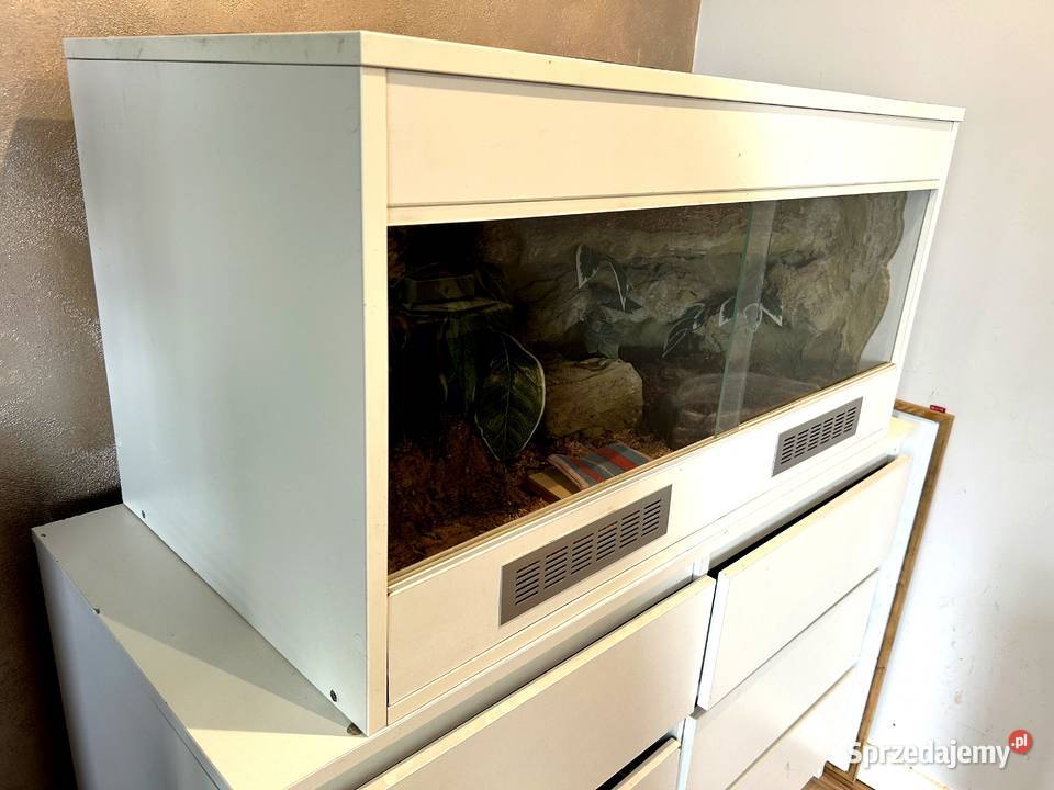 TERRARIUM 100x50x50 Żółw Jaszczurka Gekon Agama Białystok