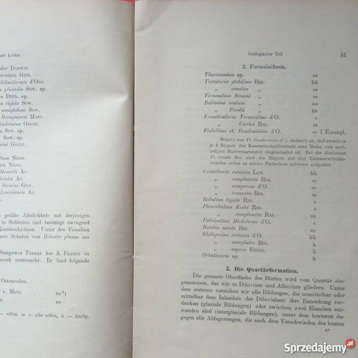 877 Geologischen Karte Antykwariat zachodniopomorskie Szczecin sprzedam